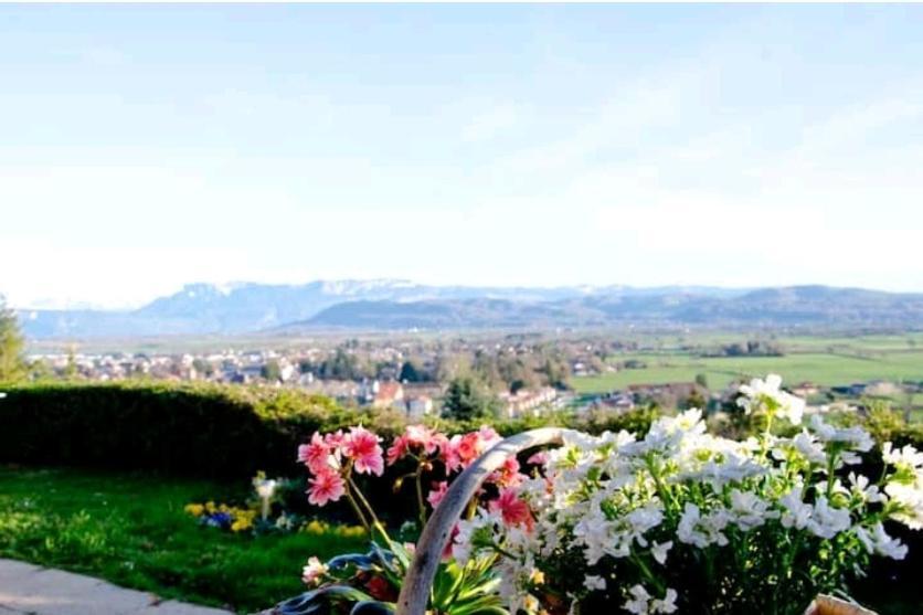 La Villa Jo Le Grand-Lemps エクステリア 写真